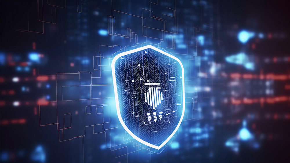 汽车电子嵌入式软件功能安全咨询开发与测试服务